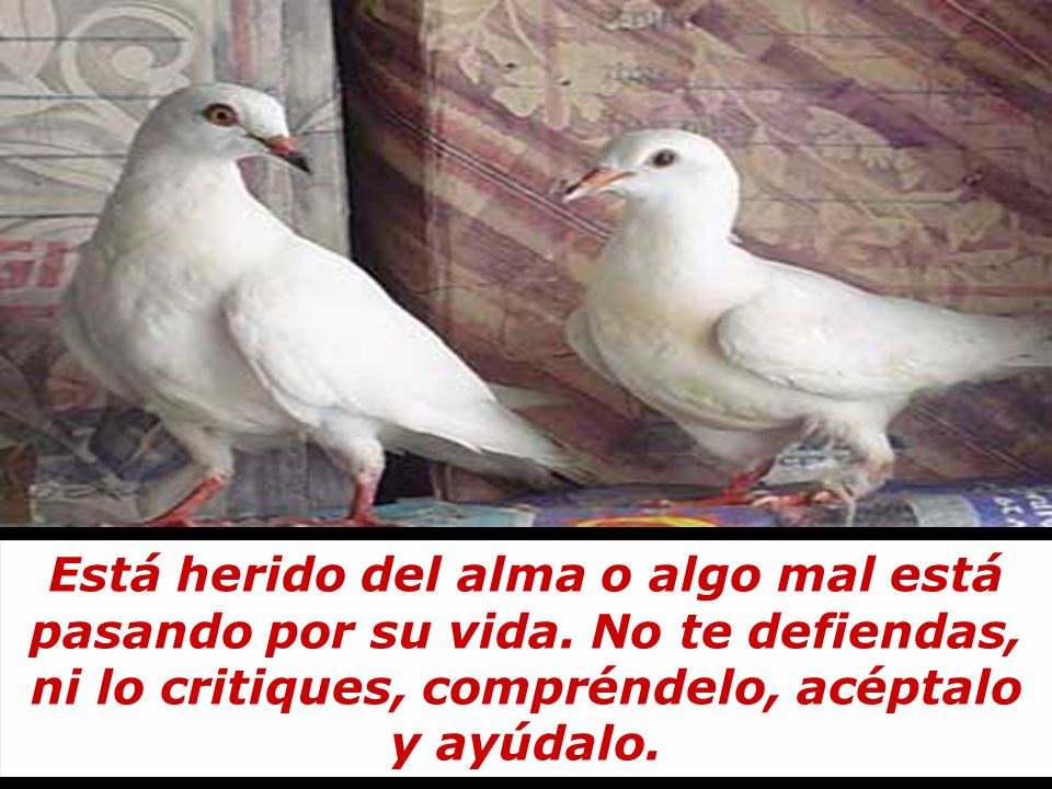 Está herido del alma o algo mal está pasando por su vida