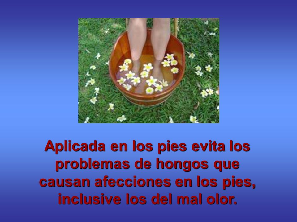 Aplicada en los pies evita los problemas de hongos que causan afecciones en los pies, inclusive los del mal olor.