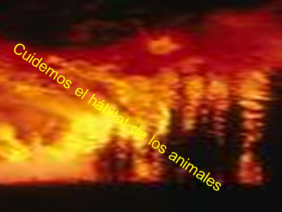 Cuidemos el hábitat de los animales