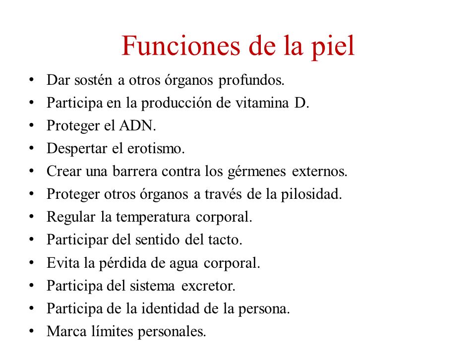 Funciones de la piel Dar sostén a otros órganos profundos.