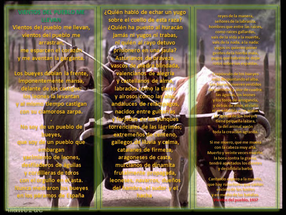 VIENTOS DEL PUEBLO ME LLEVAN Vientos del pueblo me llevan, vientos del pueblo me arrastran, me esparcen el corazón y me aventan la garganta. . Los bueyes doblan la frente, imponentemente mansa, delante de los castigos: los leones la levantan y al mismo tiempo castigan con su clamorosa zarpa. . No soy de un pueblo de bueyes, que soy de un pueblo que embargan yacimiento de leones, desfiladeros de águilas y cordilleras de toros con el orgullo en el asta. Nunca medraron los bueyes en los páramos de España.
