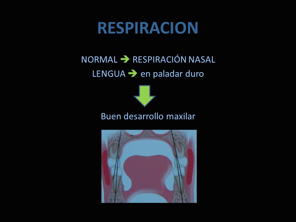 RESPIRACION NORMAL  RESPIRACIÓN NASAL LENGUA  en paladar duro