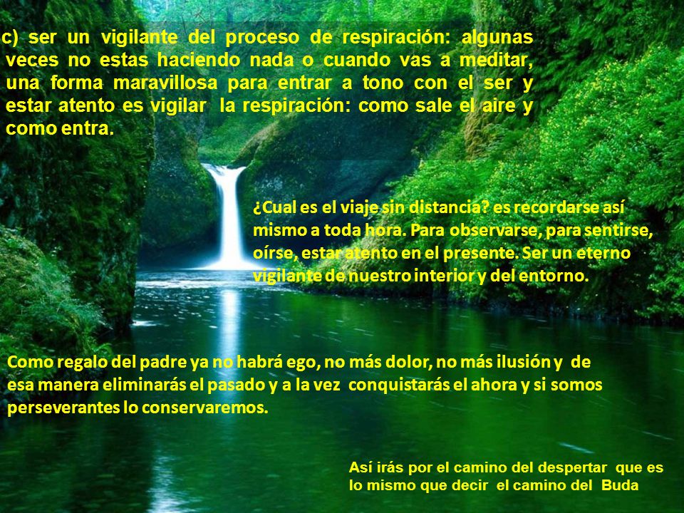 c) ser un vigilante del proceso de respiración: algunas veces no estas haciendo nada o cuando vas a meditar, una forma maravillosa para entrar a tono con el ser y estar atento es vigilar la respiración: como sale el aire y como entra.