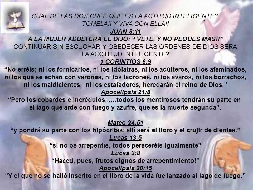 CUAL DE LAS DOS CREE QUE ES LA ACTITUD INTELIGENTE