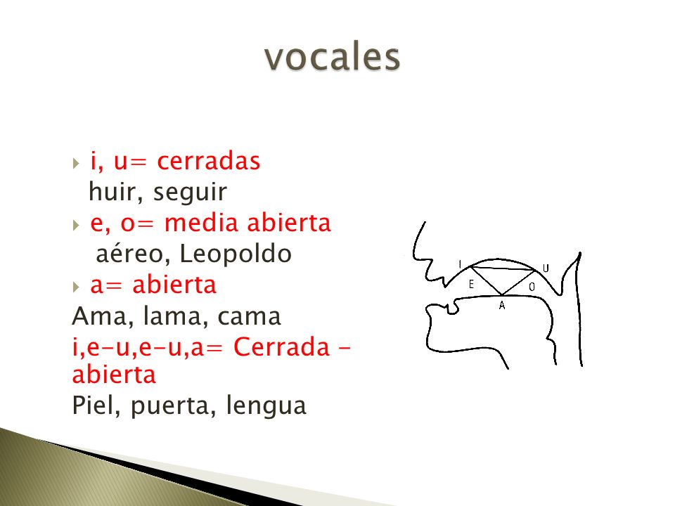 vocales i, u= cerradas huir, seguir e, o= media abierta