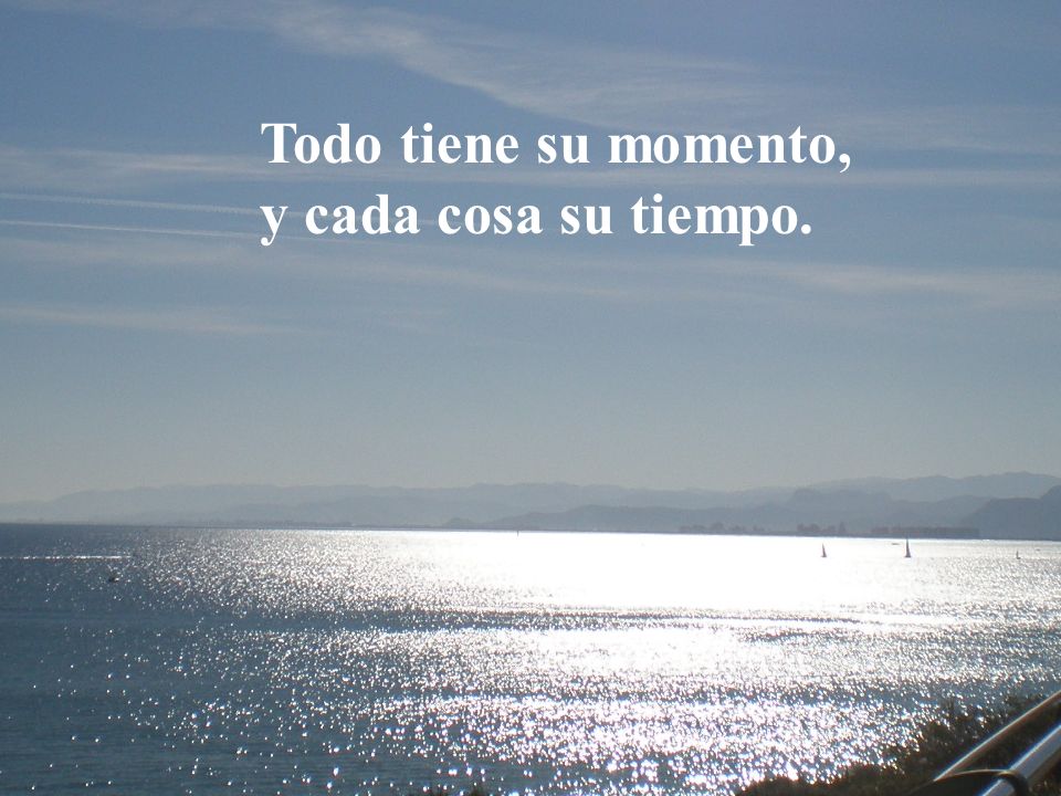 Todo tiene su momento, y cada cosa su tiempo. Foto Cullera 1