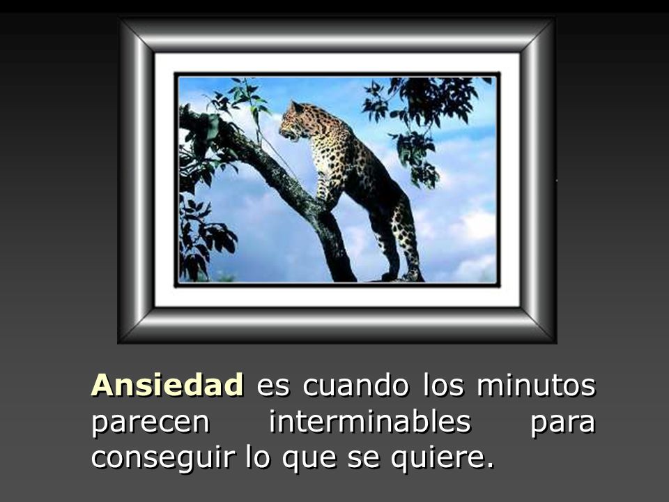 Ansiedad es cuando los minutos parecen interminables para conseguir lo que se quiere.