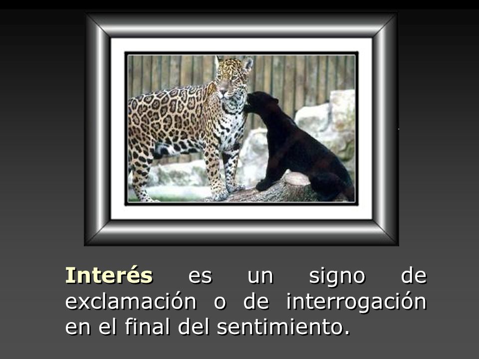 Interés es un signo de exclamación o de interrogación en el final del sentimiento.