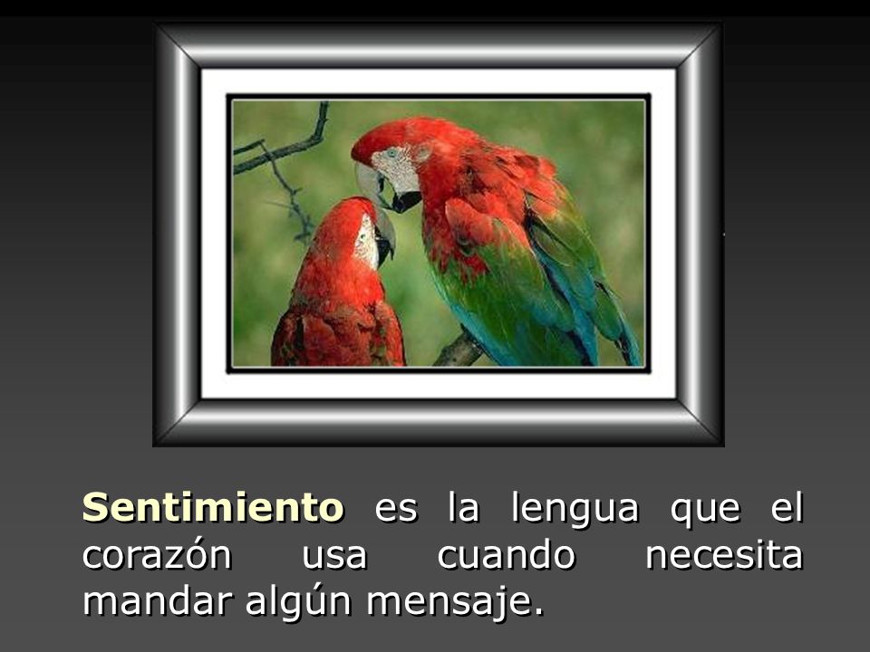 Sentimiento es la lengua que el corazón usa cuando necesita mandar algún mensaje.