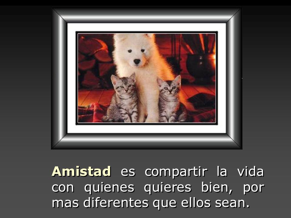 Amistad es compartir la vida con quienes quieres bien, por mas diferentes que ellos sean.