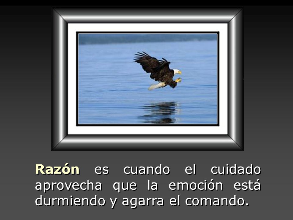Razón es cuando el cuidado aprovecha que la emoción está durmiendo y agarra el comando.