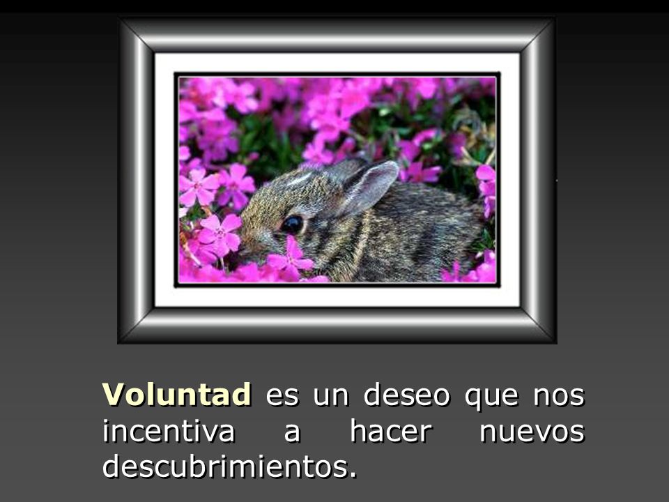 Voluntad es un deseo que nos incentiva a hacer nuevos descubrimientos.