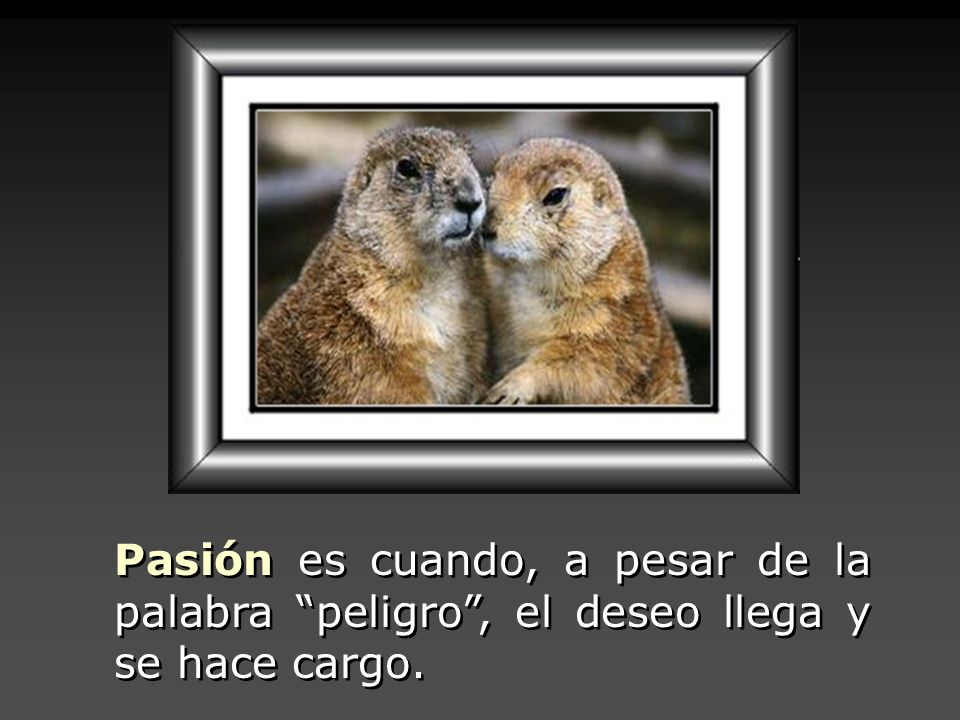 Pasión es cuando, a pesar de la palabra peligro , el deseo llega y se hace cargo.