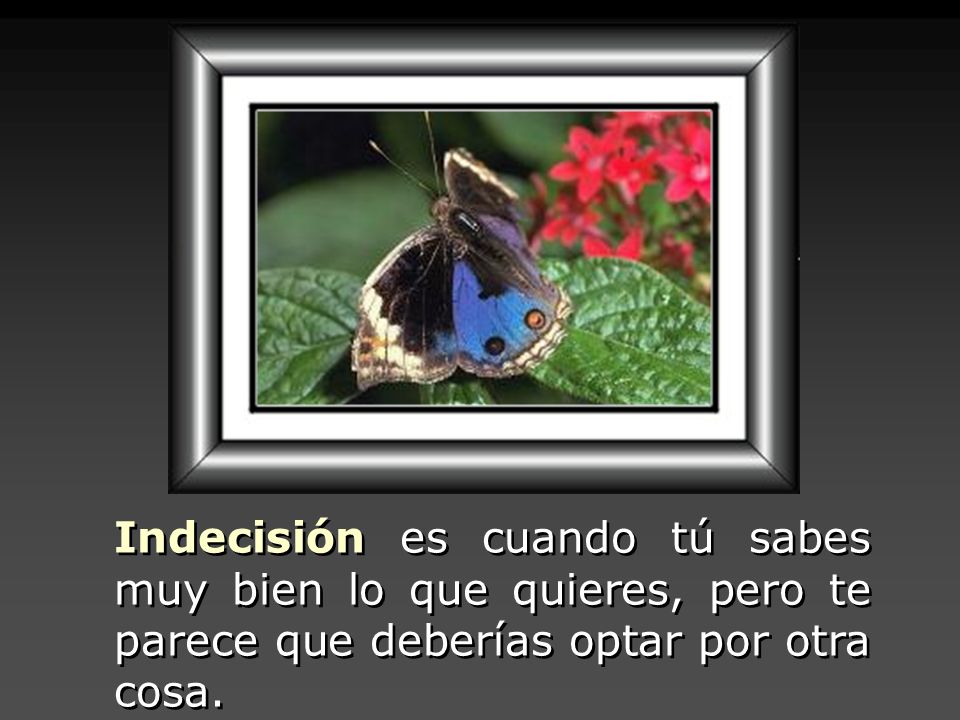 Indecisión es cuando tú sabes muy bien lo que quieres, pero te parece que deberías optar por otra cosa.