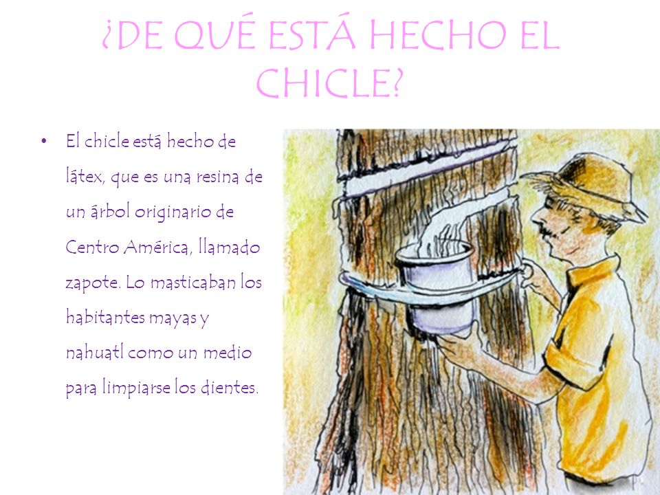 ¿DE QUÉ ESTÁ HECHO EL CHICLE