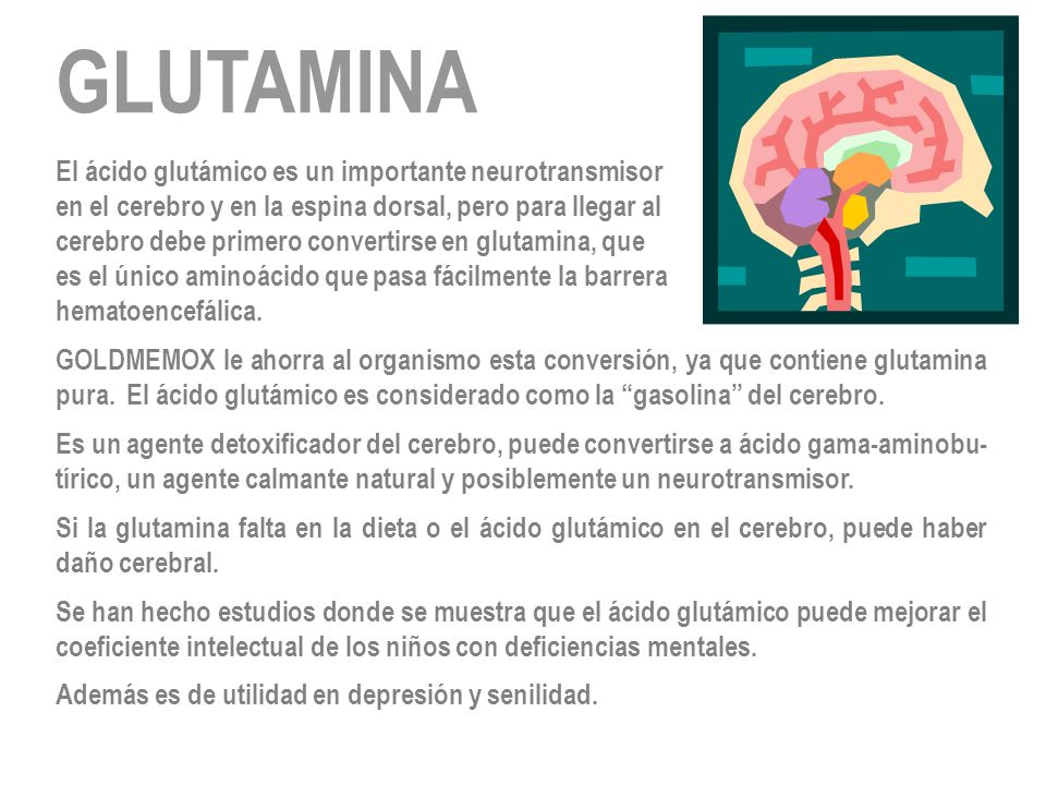 GLUTAMINA El ácido glutámico es un importante neurotransmisor
