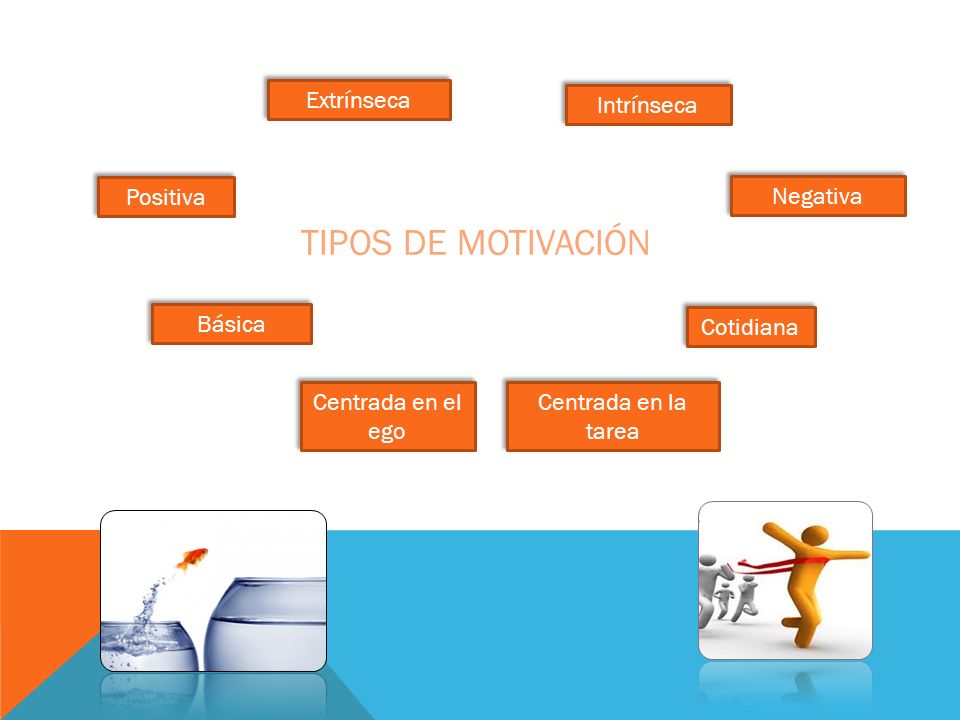 Tipos de motivación Extrínseca Intrínseca Positiva Negativa Básica