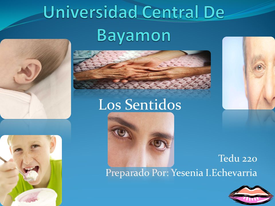 Universidad Central De Bayamon