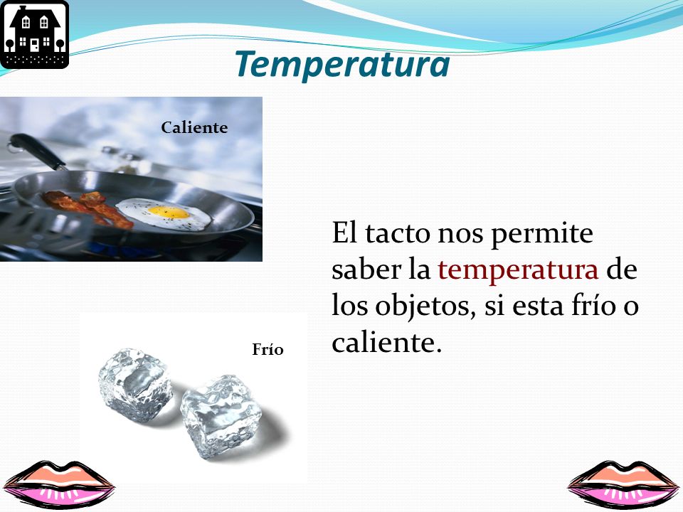 Temperatura Caliente. El tacto nos permite saber la temperatura de los objetos, si esta frío o caliente.