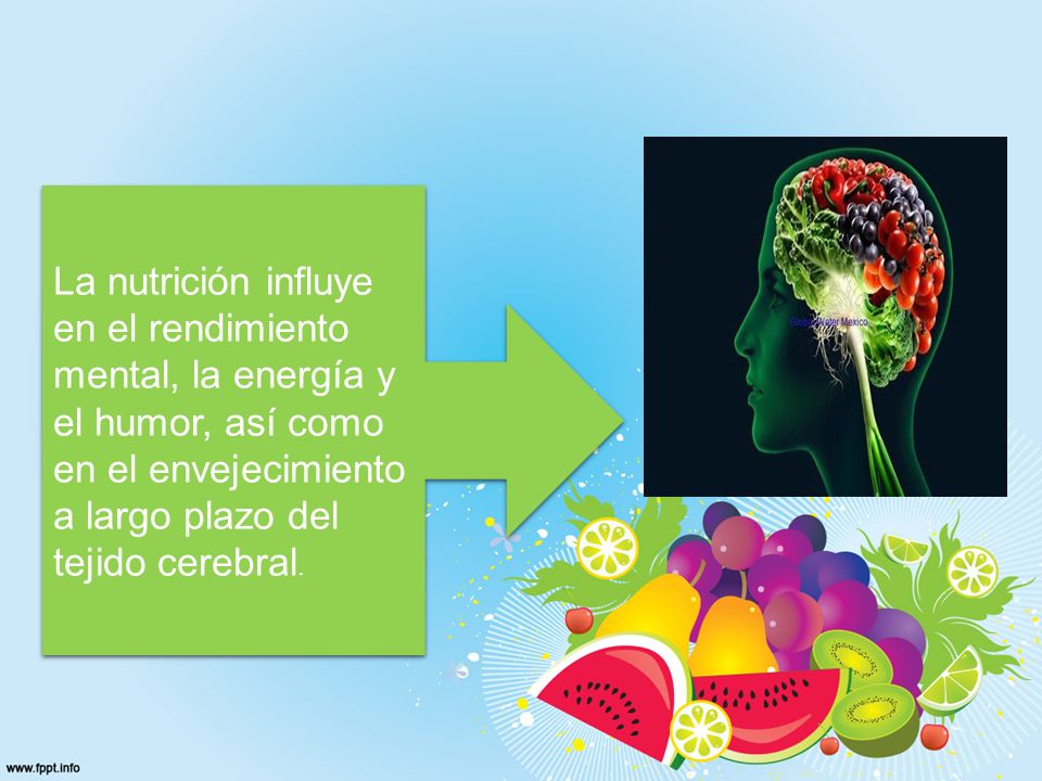 La nutrición influye en el rendimiento mental, la energía y el humor, así como en el envejecimiento a largo plazo del tejido cerebral.