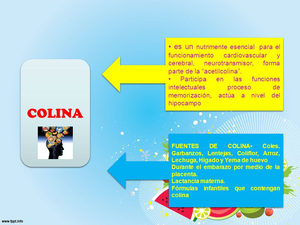 • es un nutrimente esencial para el funcionamiento cardiovascular y cerebral, neurotransmisor, forma parte de la acetilcolina .