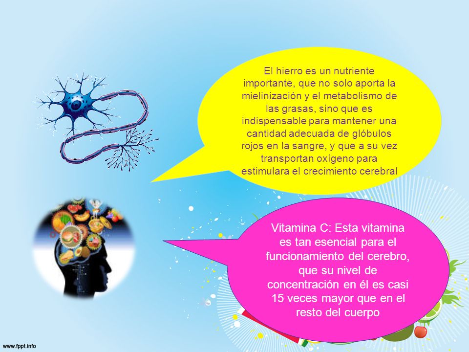 El hierro es un nutriente importante, que no solo aporta la mielinización y el metabolismo de las grasas, sino que es indispensable para mantener una cantidad adecuada de glóbulos rojos en la sangre, y que a su vez transportan oxígeno para estimulara el crecimiento cerebral