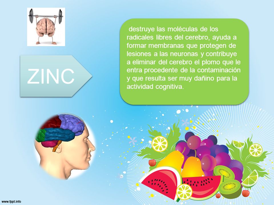 destruye las moléculas de los radicales libres del cerebro, ayuda a formar membranas que protegen de lesiones a las neuronas y contribuye a eliminar del cerebro el plomo que le entra procedente de la contaminación y que resulta ser muy dañino para la actividad cognitiva.