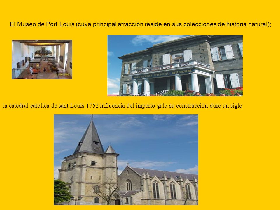 El Museo de Port Louis (cuya principal atracción reside en sus colecciones de historia natural);