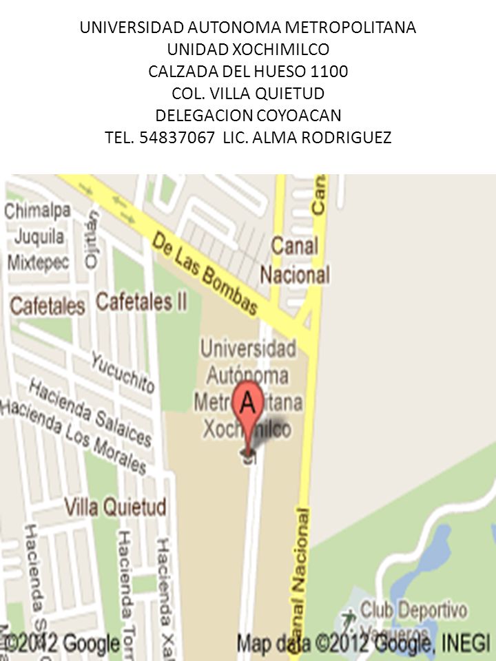 UNIVERSIDAD AUTONOMA METROPOLITANA UNIDAD XOCHIMILCO CALZADA DEL HUESO 1100 COL.