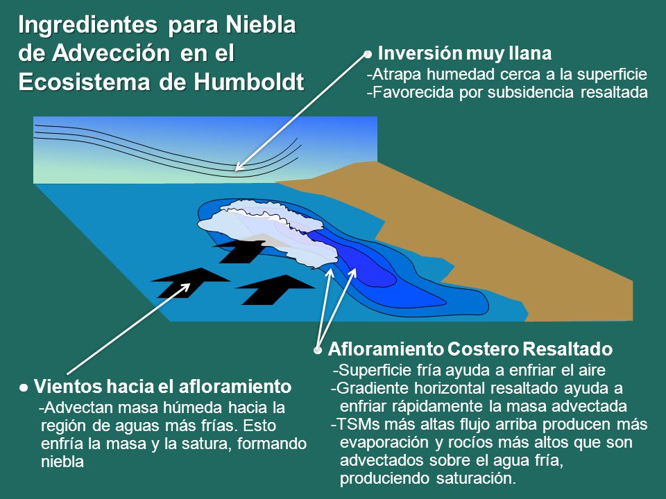 Ingredientes para Niebla de Advección en el Ecosistema de Humboldt