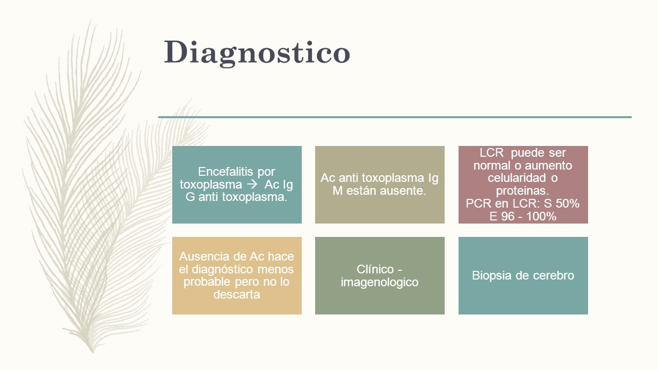 Diagnostico Encefalitis por toxoplasma  Ac Ig G anti toxoplasma. Ac anti toxoplasma Ig M están ausente.