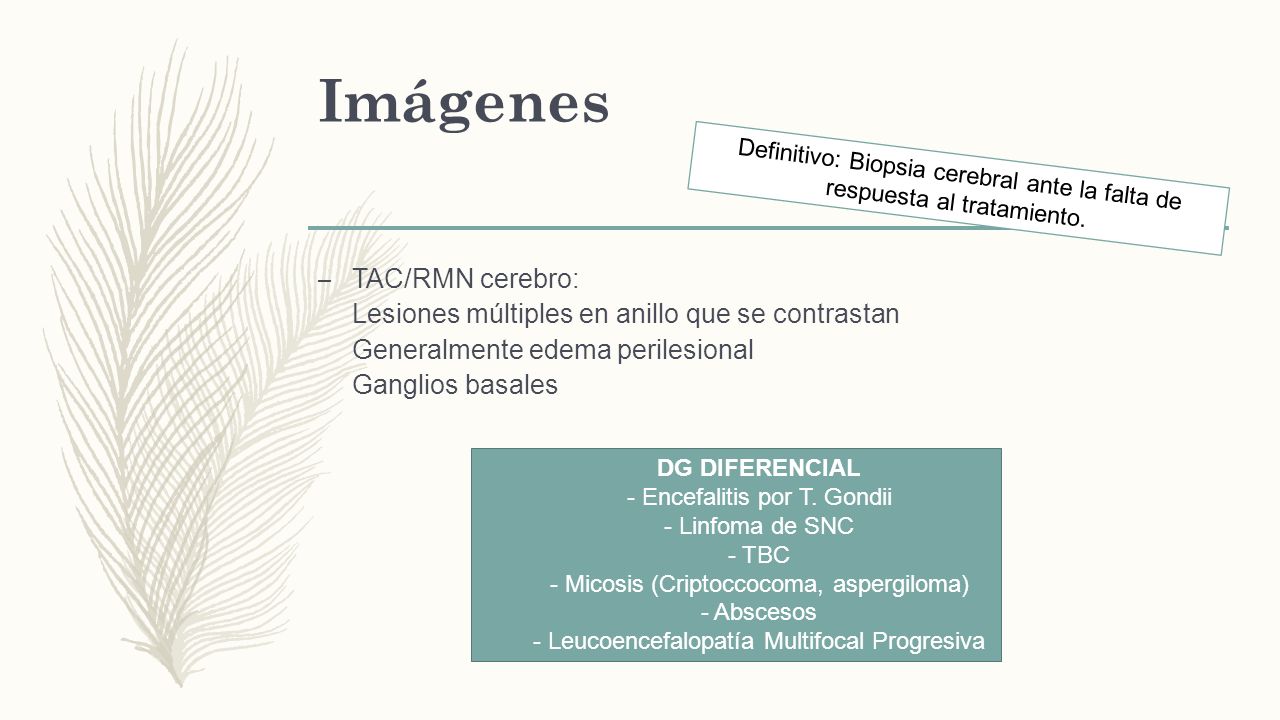 Imágenes Definitivo: Biopsia cerebral ante la falta de respuesta al tratamiento.