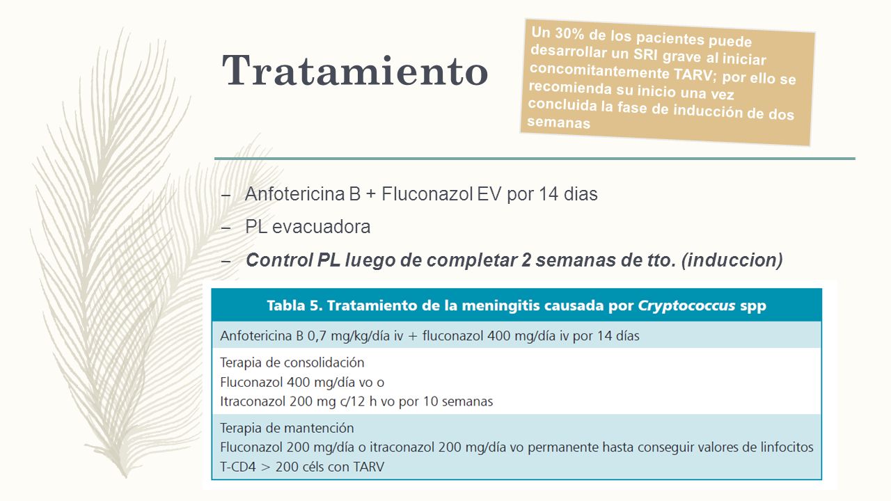 Tratamiento Anfotericina B + Fluconazol EV por 14 dias PL evacuadora