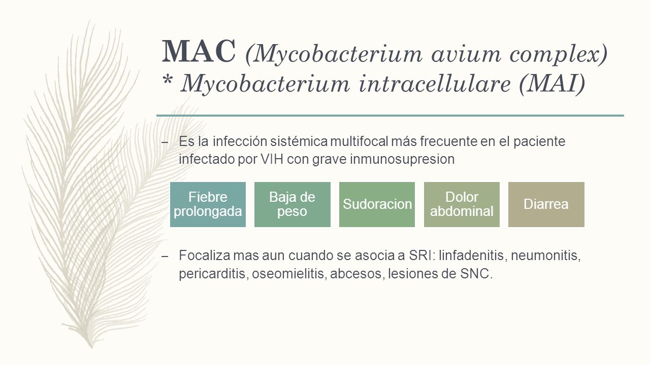 MAC (Mycobacterium avium complex) * Mycobacterium intracellulare (MAI)