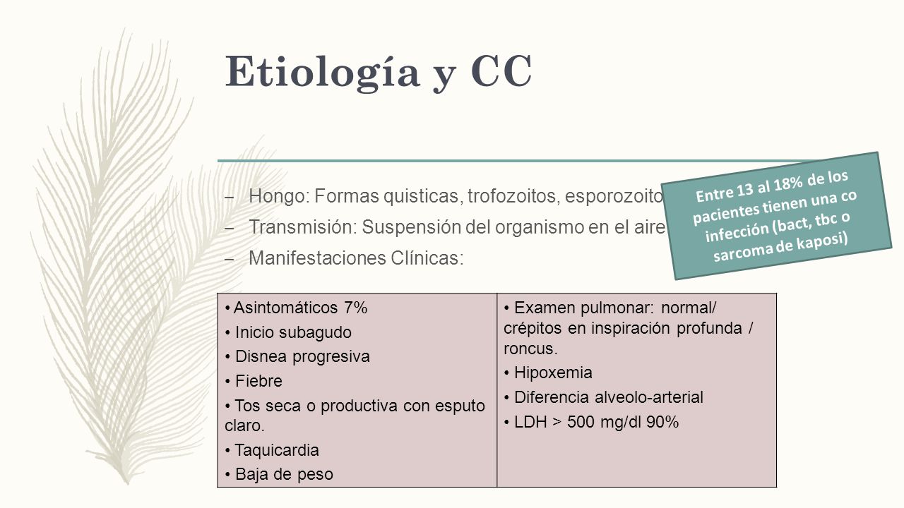 Etiología y CC Hongo: Formas quisticas, trofozoitos, esporozoitos.