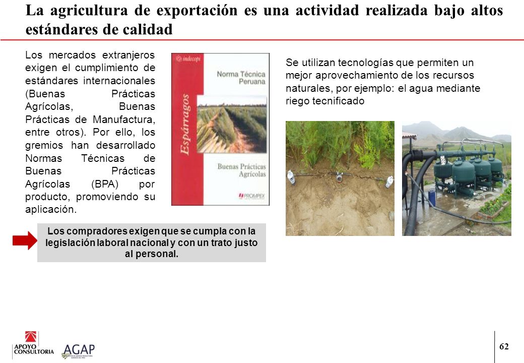 La agricultura de exportación es una actividad realizada bajo altos estándares de calidad