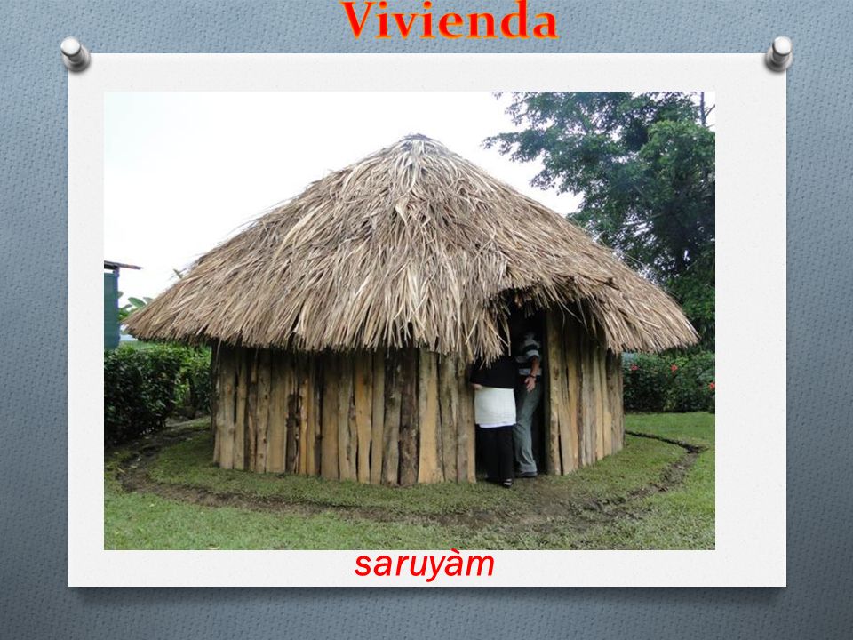 Vivienda Sibú trajo las semillas de maíz sagradas (o ditsù) saruyàm