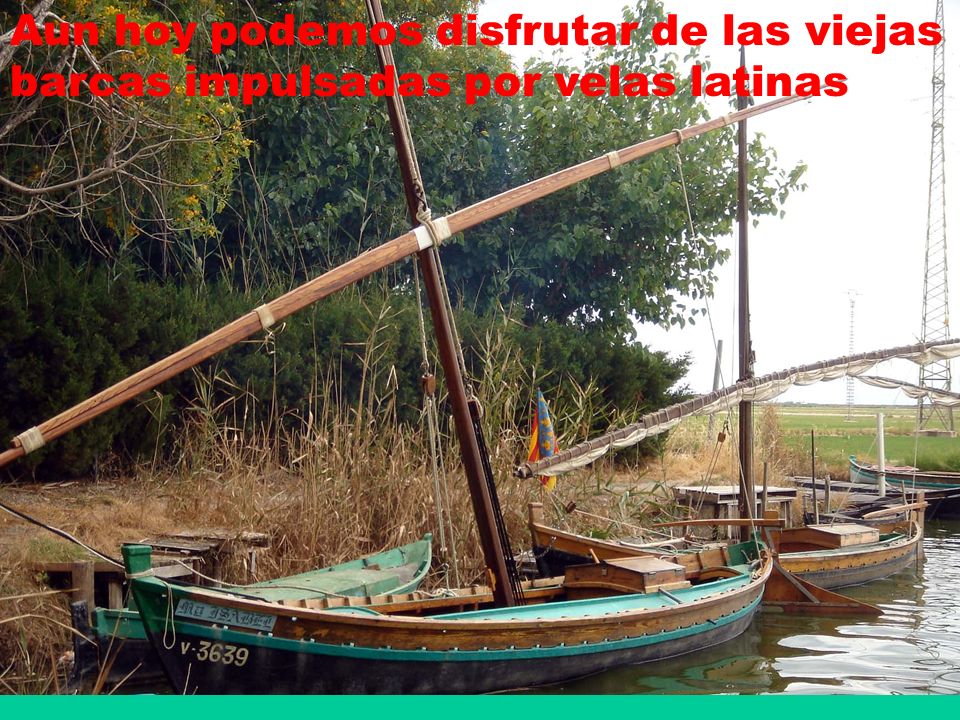 Aun hoy podemos disfrutar de las viejas barcas impulsadas por velas latinas