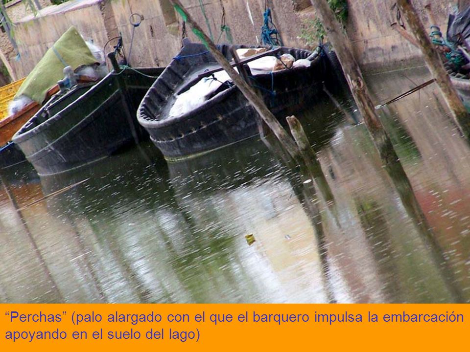 Perchas (palo alargado con el que el barquero impulsa la embarcación apoyando en el suelo del lago)