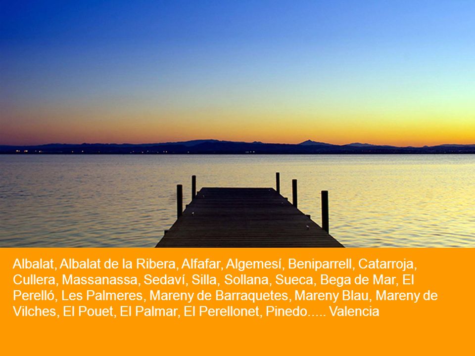 Albalat, Albalat de la Ribera, Alfafar, Algemesí, Beniparrell, Catarroja, Cullera, Massanassa, Sedaví, Silla, Sollana, Sueca, Bega de Mar, El Perelló, Les Palmeres, Mareny de Barraquetes, Mareny Blau, Mareny de Vilches, El Pouet, El Palmar, El Perellonet, Pinedo.....