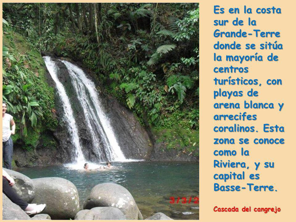 Es en la costa sur de la Grande-Terre donde se sitúa la mayoría de centros turísticos, con playas de arena blanca y arrecifes coralinos. Esta zona se conoce como la Riviera, y su capital es Basse-Terre.