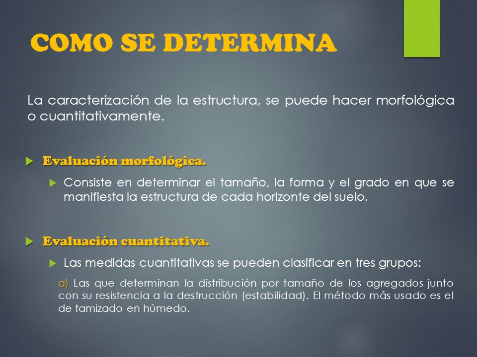 COMO SE DETERMINA La caracterización de la estructura, se puede hacer morfológica o cuantitativamente.