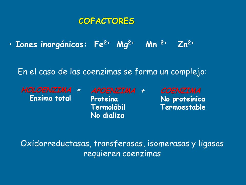 En el caso de las coenzimas se forma un complejo: