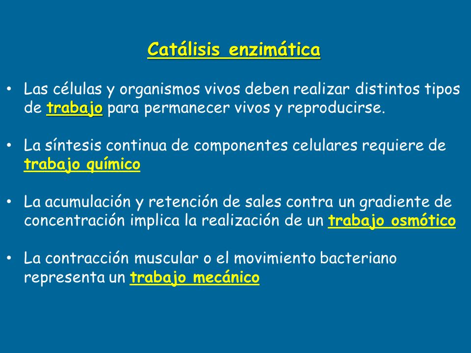 Catálisis enzimática Las células y organismos vivos deben realizar distintos tipos de trabajo para permanecer vivos y reproducirse.