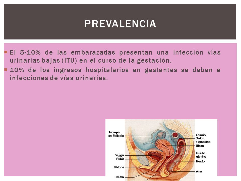 PREVALENCIA El 5-10% de las embarazadas presentan una infección vías urinarias bajas (ITU) en el curso de la gestación.