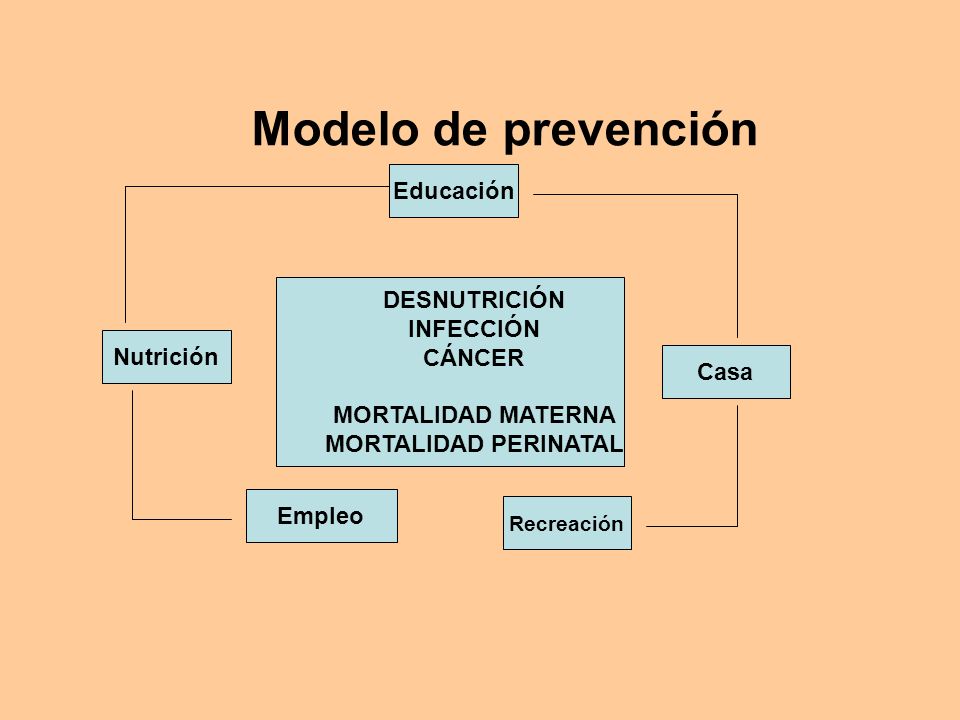 Modelo de prevención Educación DESNUTRICIÓN INFECCIÓN CÁNCER Nutrición