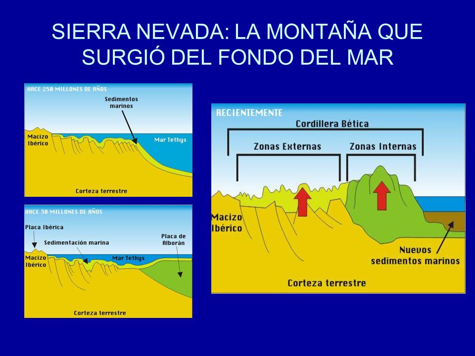 SIERRA NEVADA: LA MONTAÑA QUE SURGIÓ DEL FONDO DEL MAR