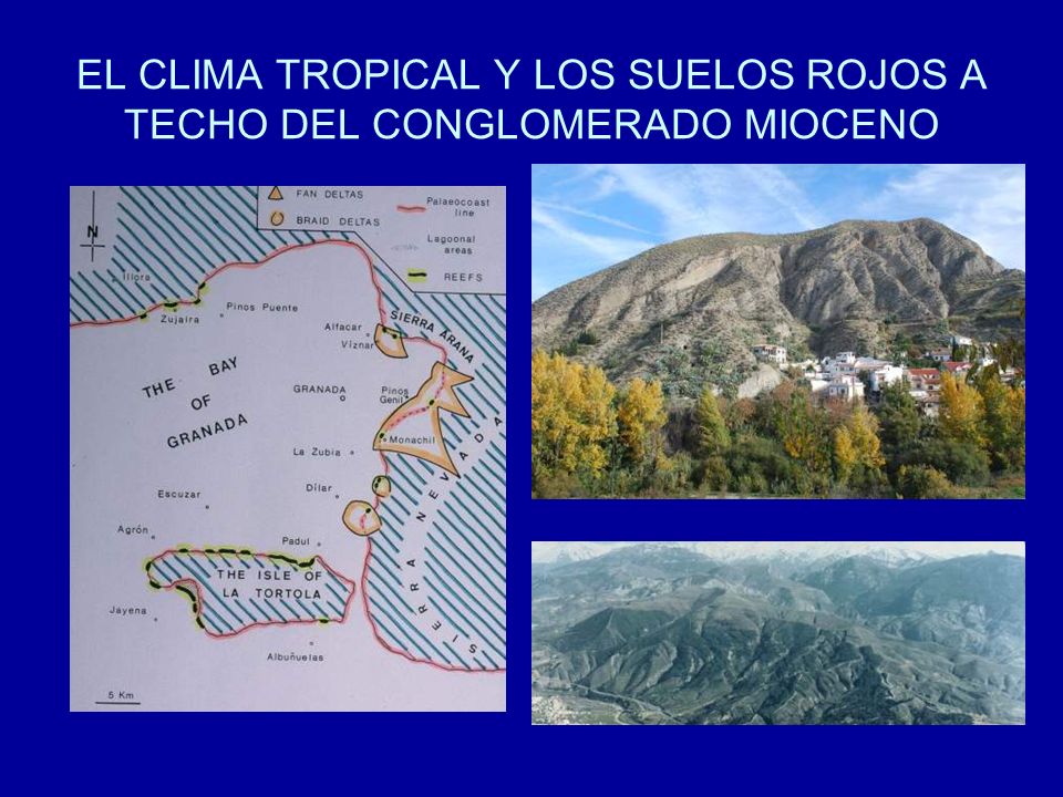 EL CLIMA TROPICAL Y LOS SUELOS ROJOS A TECHO DEL CONGLOMERADO MIOCENO