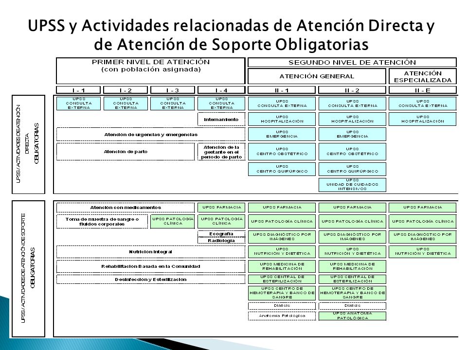 UPSS y Actividades relacionadas de Atención Directa y de Atención de Soporte Obligatorias
