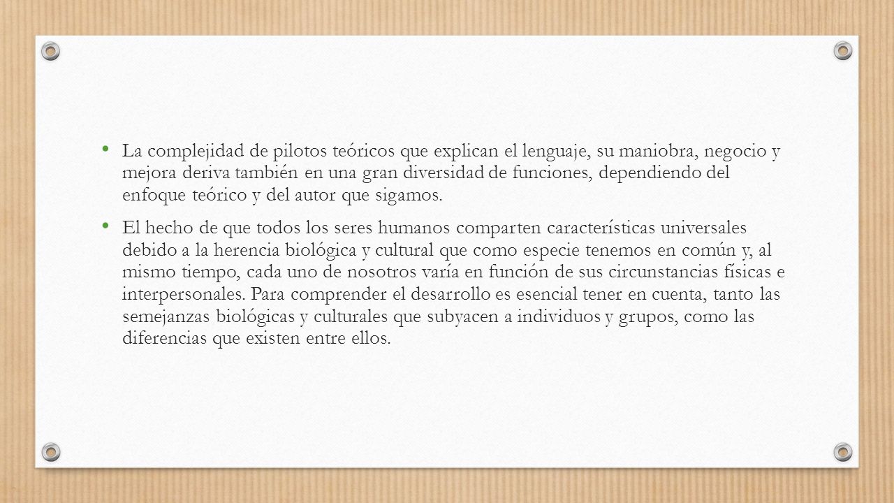 La complejidad de pilotos teóricos que explican el lenguaje, su maniobra, negocio y mejora deriva también en una gran diversidad de funciones, dependiendo del enfoque teórico y del autor que sigamos.